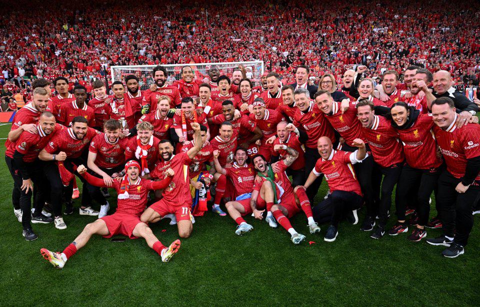 在没有强力 在没有强力